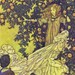 The Fairy's Shimmering Garment by Edmund Dulac, Green Tiger Press Vintage Postcard
