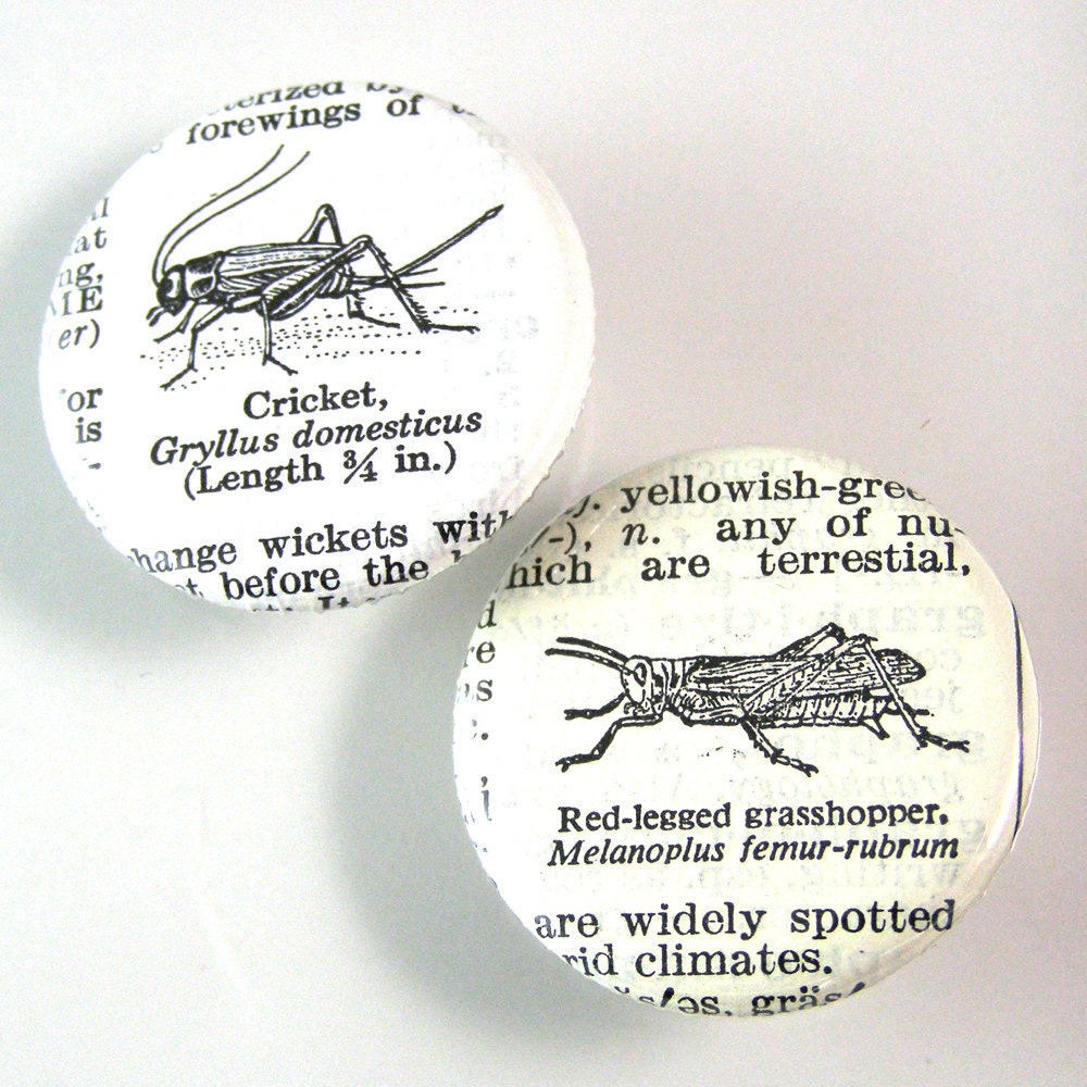 Cricket Pinback Button Set