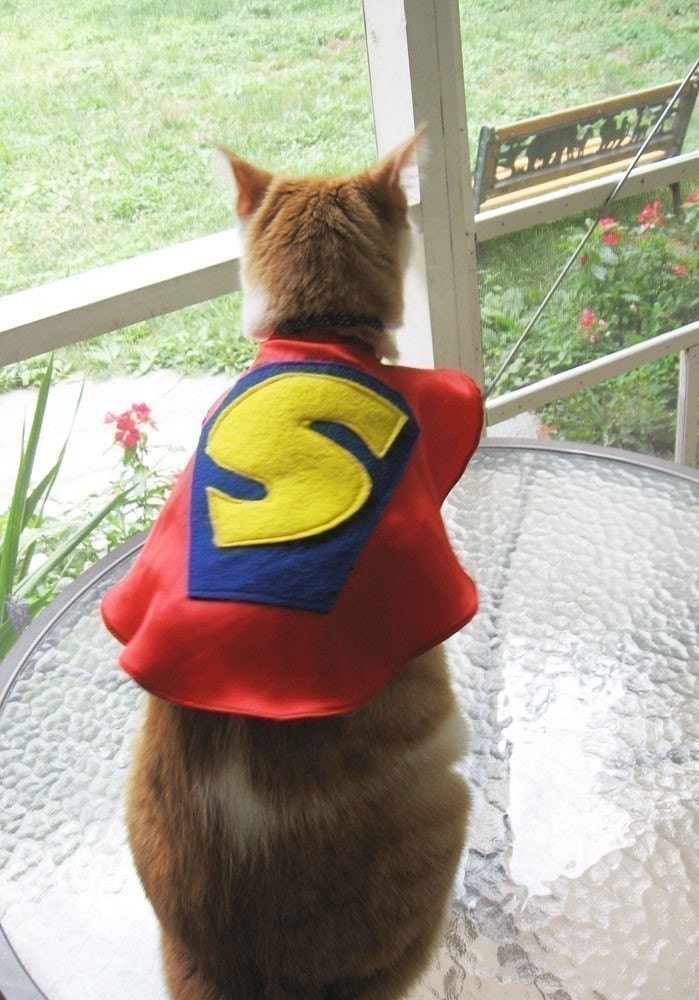Superhero Pet Capes Custom Initial Dog Cat Il_170x135