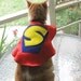 Superhero Pet Capes Custom Initial Dog Cat