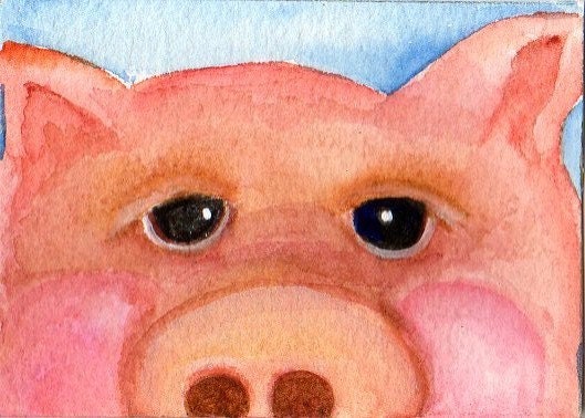 Original ACEO Pig Painting Big Pig Face