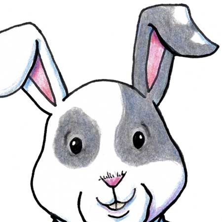 Rabbit Art Original Drawing Gray and White Bunny Matted