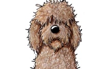 Labradoodle Dog ACEO Original Art Chocolate Goldendoodle