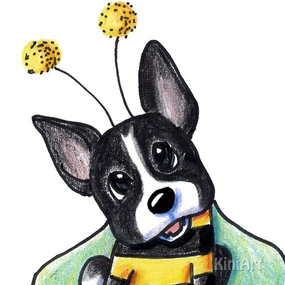 Boston Terrier Dog ACEO Original Art Bee 8x10 Matted  Ebsq