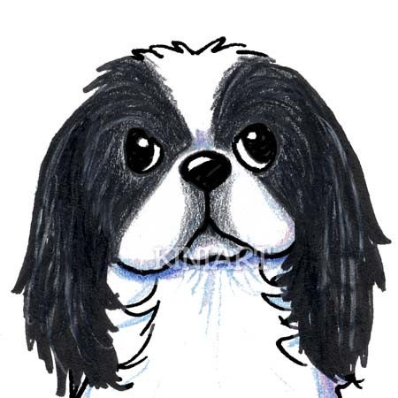 Japanese Chin Dog Breed ORIGINAL Art ACEO Drawing by Ki