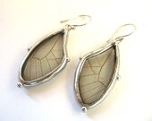 Little Wing Earrings - Real Butterfly Jewelry