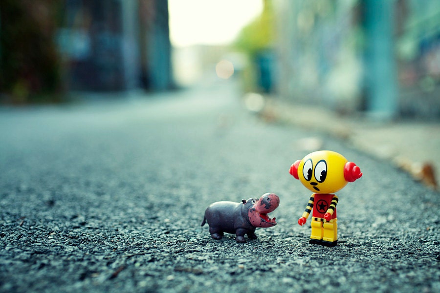 HI - I told you i don't want a pet - hippo, street photography, macro, toy photography, toy, cute, urban vinyl, pet, street, urban