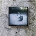 Ni Hao Xiongmao - TTV Toys Series One 5x5 Inch Photo Block