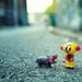 HI - I told you i don't want a pet - hippo, street photography, macro, toy photography, toy, cute, urban vinyl, pet, street, urban