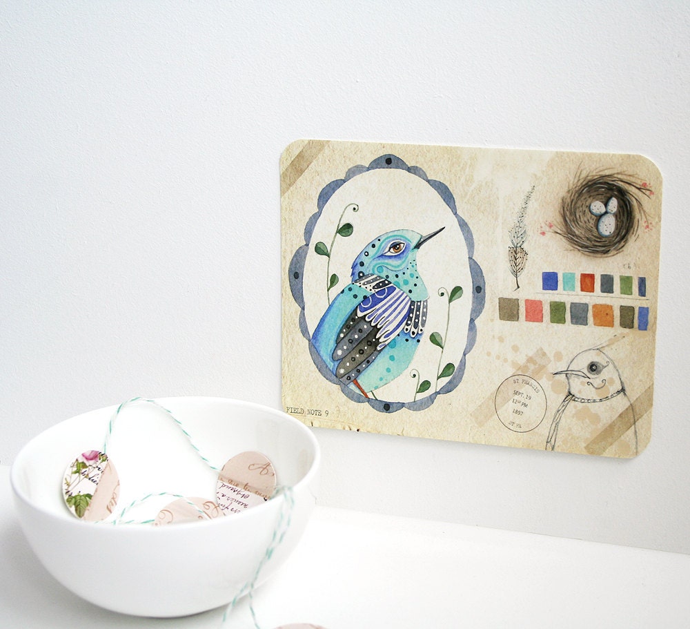 Field note no. 9 - Postcard Set