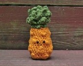 Crochet Pineapple Plush PATTERN -- Bromeliads are Awesome