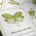Insect Bookplates