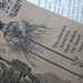 NEW Pang Frequency Absinthesizer Dr. Eamers Remedy Label