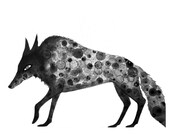 Wolf Print 8X10 (ink bubble drawing reproduction print) art