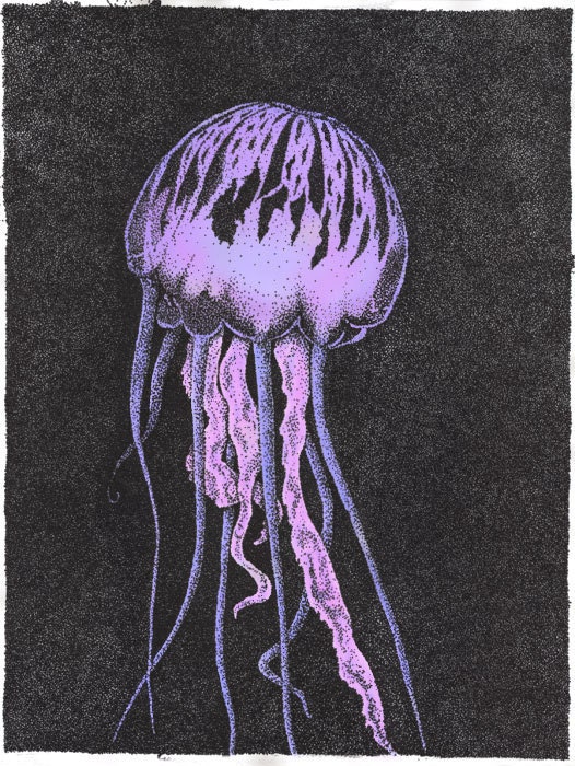 Jellyfish Print Purple-Giclee Pointillism - Purple