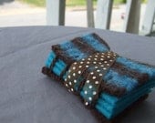 Blue and Brown Needle Case