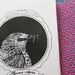 The 77 zine