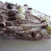 Beaded crocheted necklace or wrap bracelet, glass beads, mother of pearl chips, Coffee and Cream, brown ivory
