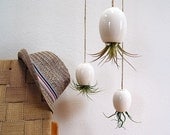 Hanging Air Plant Pod Planter (tm) TRIO  - Gorgeous Glossy White
