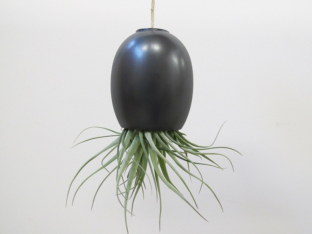 LARGE Gunmetal Grey Hanging Air Planter