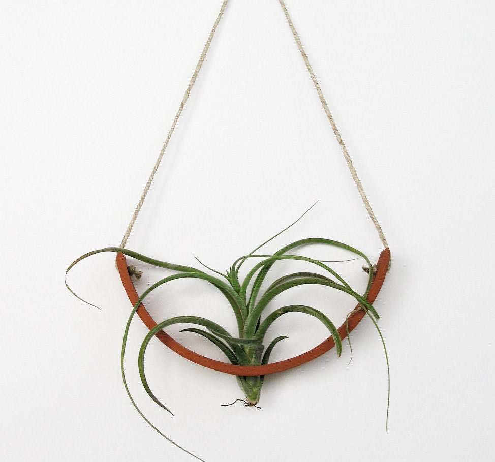 NEW Hanging Air Plant Cradle (tm) - Natural TerraCotta
