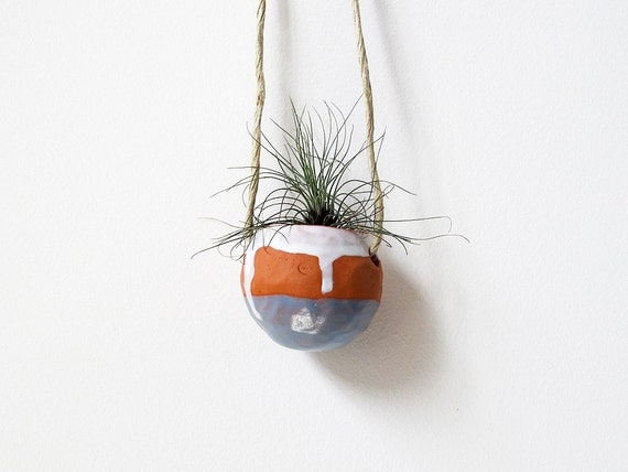 Real Men Like Plants Too - Father's Day Terracotta hanging planter pot vase blue and white - for air plant, succulent or cactus