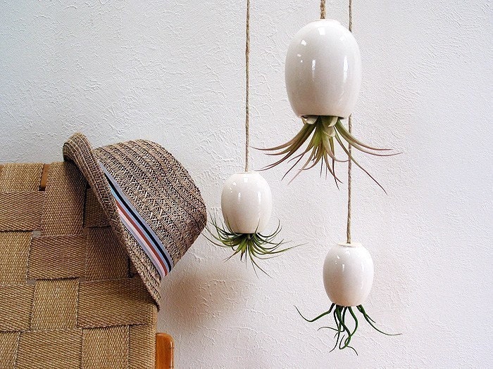 Hanging Air Plant Pod Planter (tm) TRIO  - Gorgeous Glossy White
