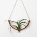 NEW Hanging Air Plant Cradle (tm) - Natural TerraCotta