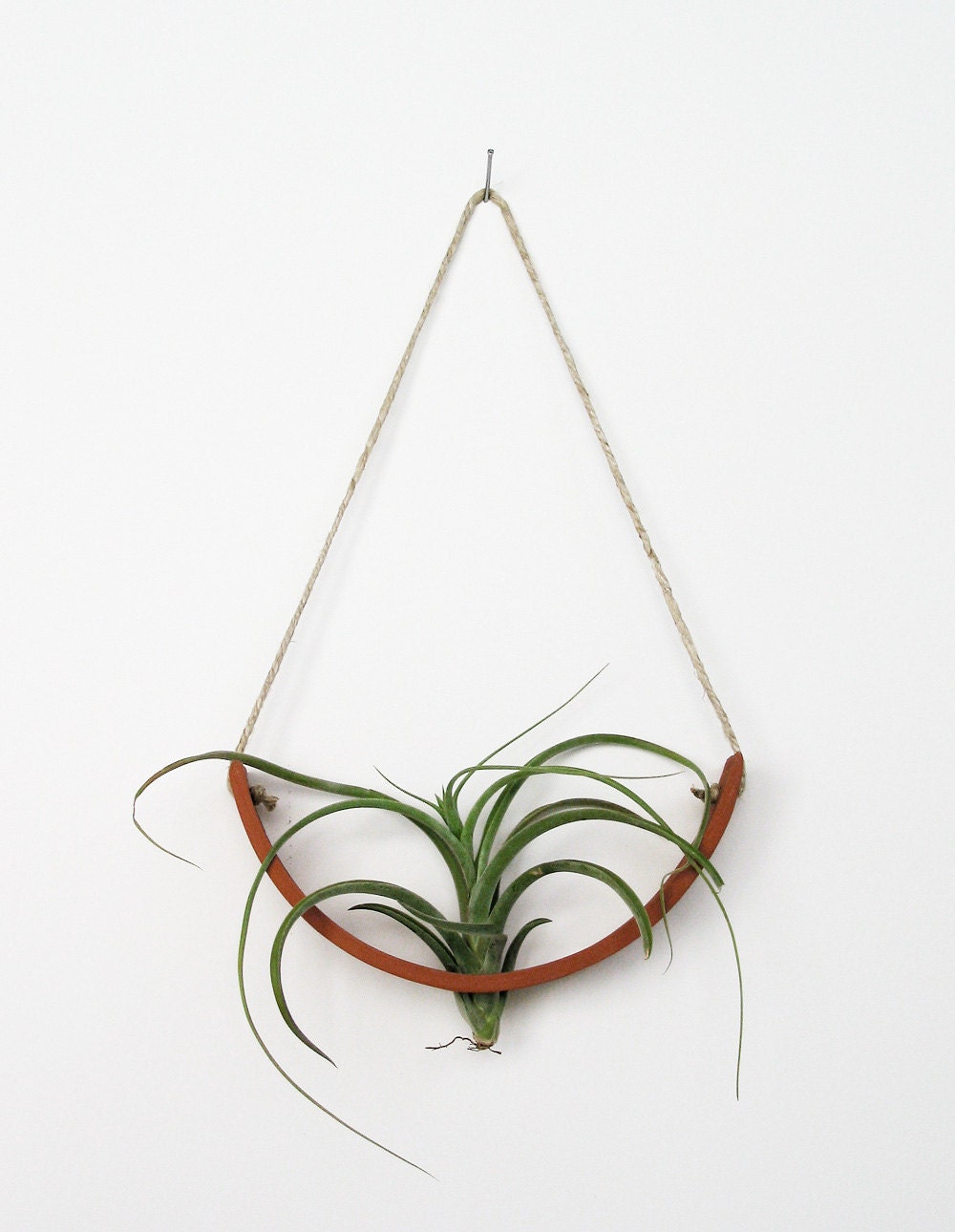 NEW Hanging Air Plant Cradle (tm) - Natural TerraCotta