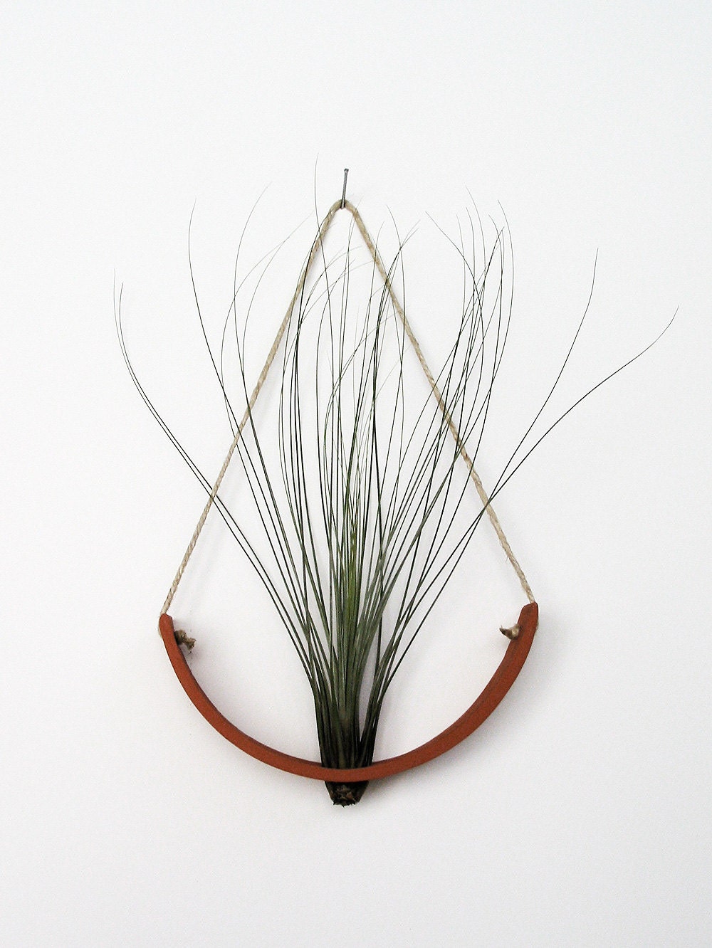 NEW Hanging Air Plant Cradle (tm) - Natural TerraCotta