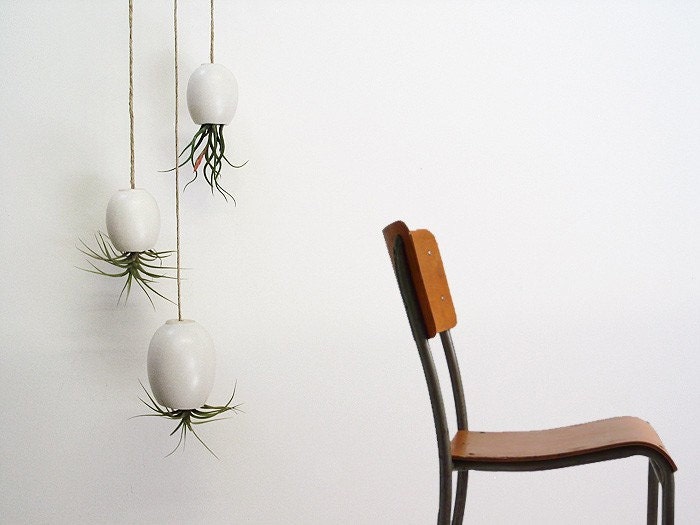 LARGE Hanging Air Plant Pod (tm) - Silky Matte White