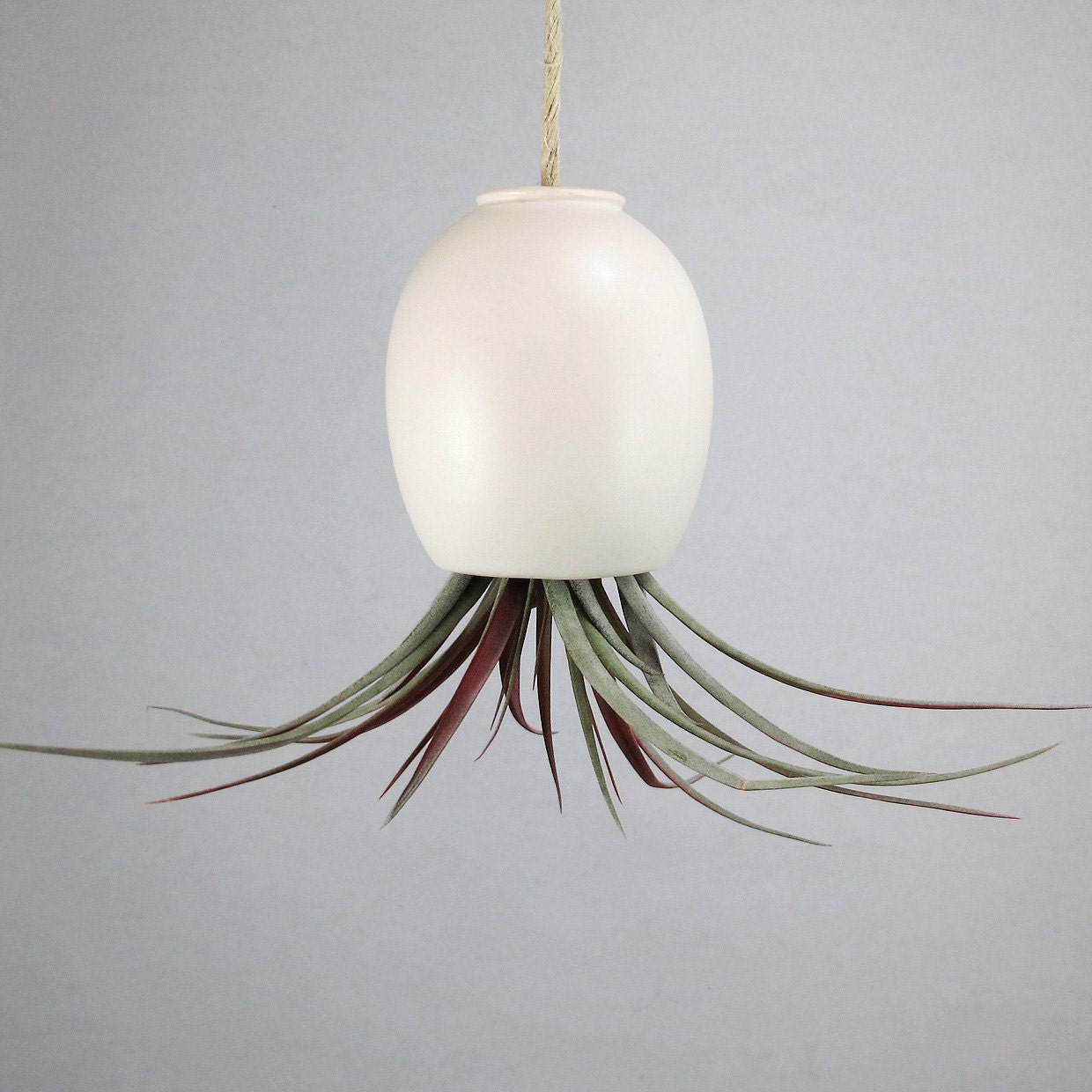 Ceramic Planter - Hanging Air Plant Pod Vase - Silky Matte White by mudpuppy