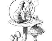 Alice and the Catterpillar Wall Decal