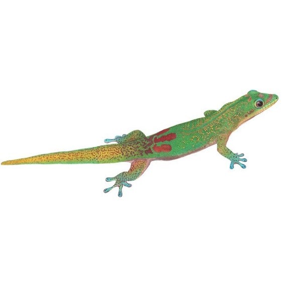 Beautiful Gold Dust Day Gecko Vinyl Wall Decal