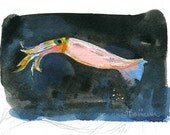 Lesser Flying Squid print- Cephalopod series-Mini