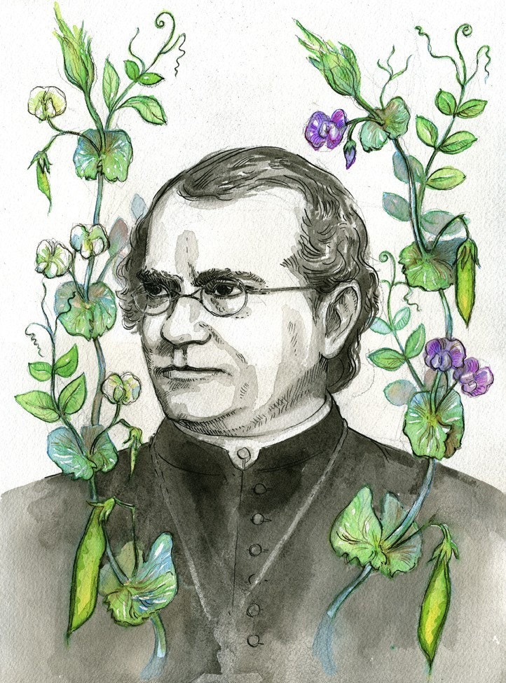 Gregor Mendel Portrait