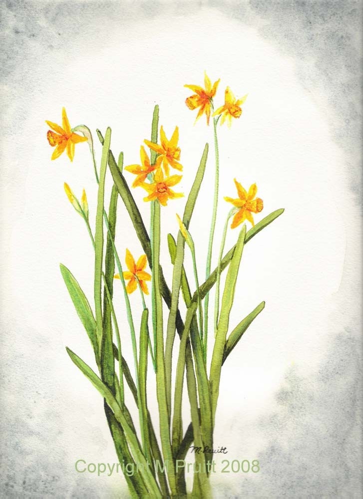 ORIGINAL watercolor DAFFODIL painting DW by M Pruitt  Christmas in July