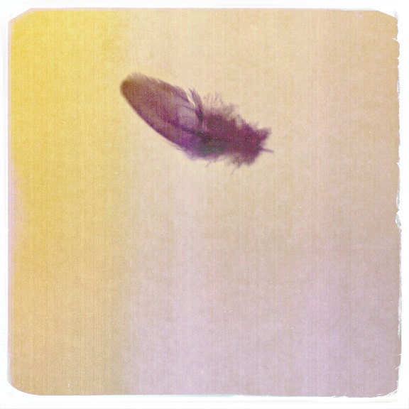 Float On --  8x10 print (purple)