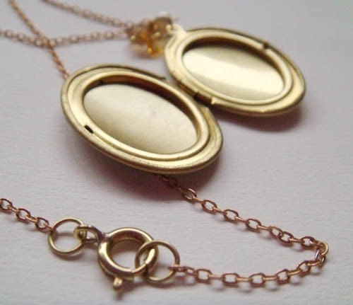 sepia locket . blue jay .