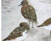 Bird Art Painting, Sandpipers, Shorebirds on Beach Art, Original Watercolor Painting, Home Decor, Cottage Decor