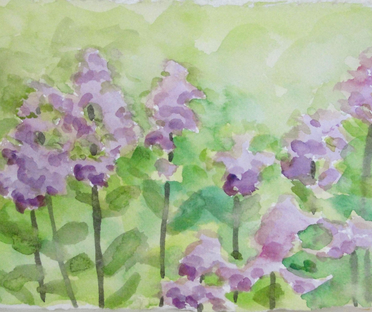Watercolor Painting Spring Summer Purple Flower Art Painting Herbs Lavender Original Botanical Garden Painting Home Decor