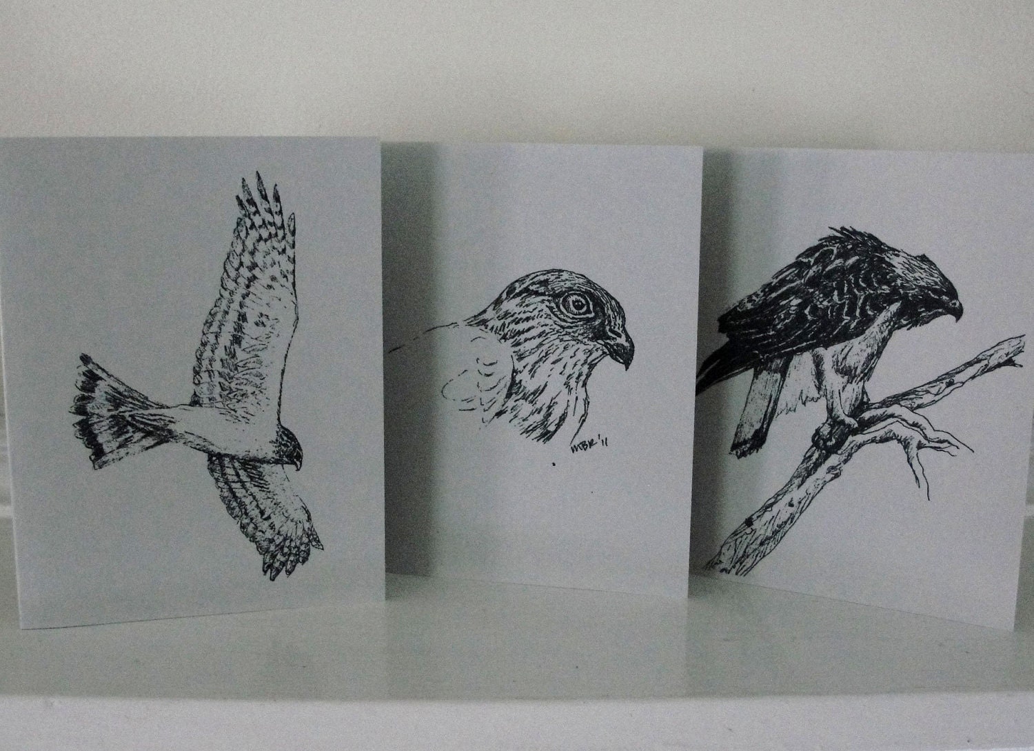 Greeting Cards Bird Art Cards Hawks Red Tailed Harrier Sharp Shinned Gray Neutral All Occasion Blank Cards Set of 6