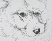 Dog Drawing Original Ink Drawing Corgi Puppy Dog Art Black and White Animal Art Dog Illustration