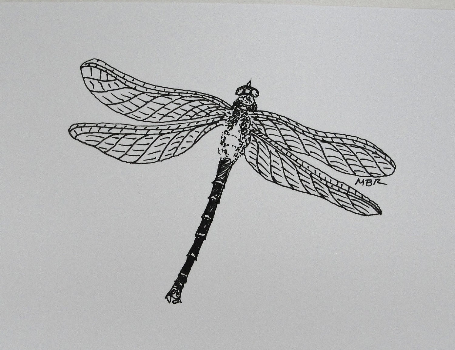 Drawing Dragonfly