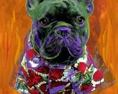 Louie the French Bulldog Print