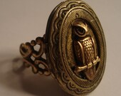 Victorian Steampunk THE OWLS HAVE It Oval Locket Ring Brass Owl New Adjustable Ring Uni-sex