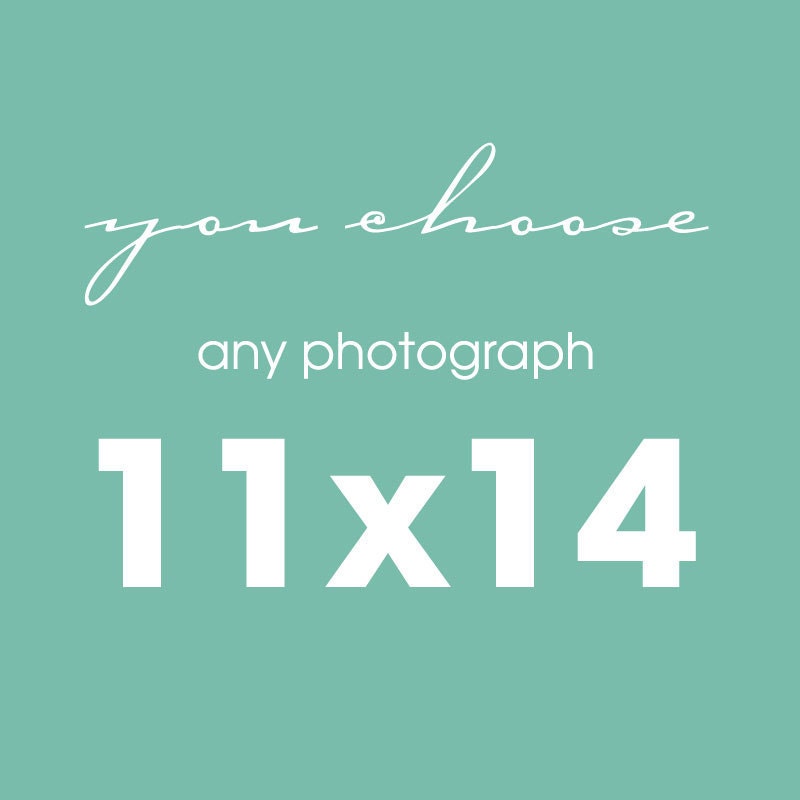 Any 11x14 Fine Art Photograph Landscape, Nature, Travel, Animals, Birds, Architecture - Your Choice - Custom Wall Art Home Decor