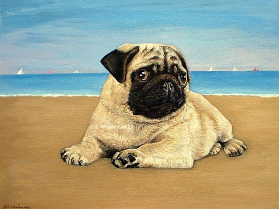 Pug Beach