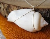 White Shell Necklace on Sterling Silver Chain