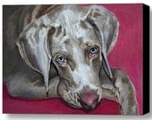 Weimaraner Dog Portrait - Dog Canvas Print 30x40in